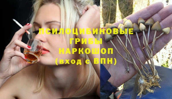 дмт Михайлов