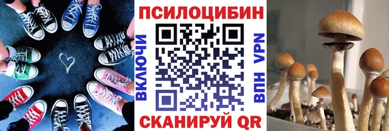 где можно купить   Мелеуз  нарко площадка клад  Галлюциногенные грибы Cubensis 