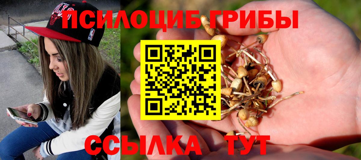 Галлюциногенные грибы ЛСД  Вход с VPN  Мелеуз  Псилоцибиновые грибы GOLDEN TEACHER 