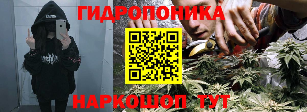 Бошки марихуана Bruce Banner  Вход с VPN  Шишки марихуана конопля  Мелеуз  МАРИХУАНА ГИДРОПОН  Шишки марихуана семена 